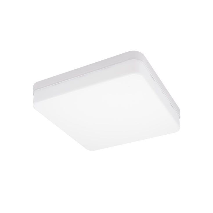 LED plafonjera 24W hladno bela