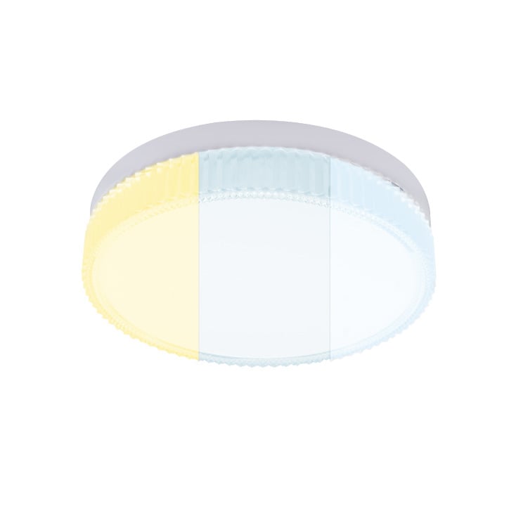 LED plafonjera 24W promenljiva boja svetla