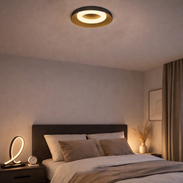LED plafonjera 24W, promenljiva boja svetla 202508