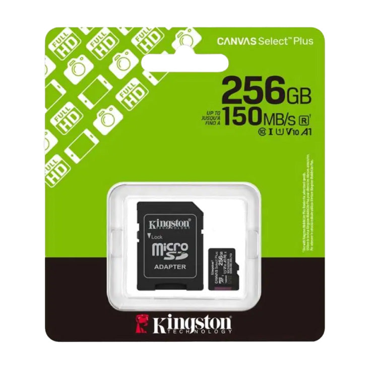 Memorijska kartica 256GB gen3