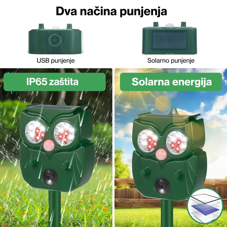 Rasterivač mačaka, pasa i divljih životinja